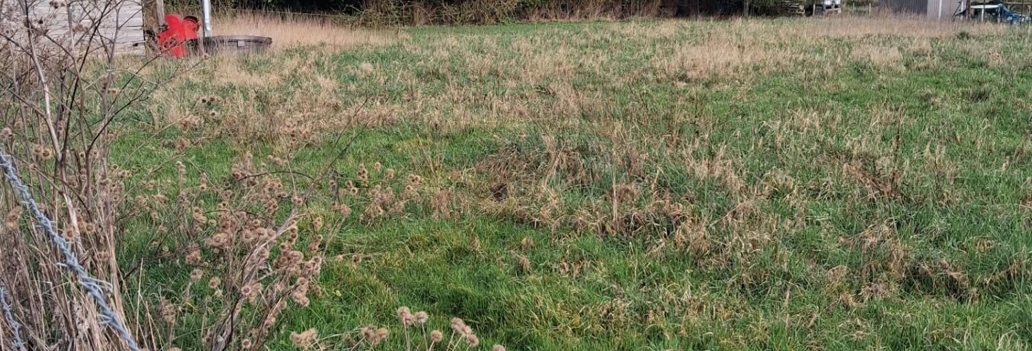 Terrain  1055 m² à vendre à Flixecourt (80420)