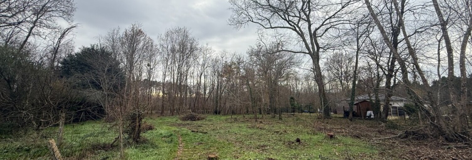 Terrain  1400 m² à vendre à Saint-Selve (33650)