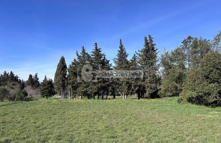 Ensemble immobilier avec grand jardin - Saint Etienne du Grès — photo 3