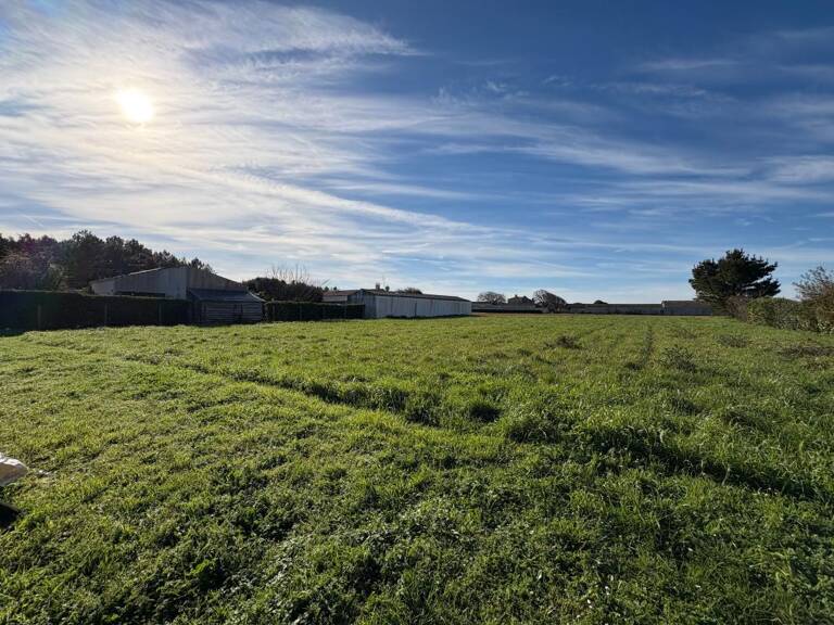 Terrain à vendre - DOLUS D'OLERON — photo 1