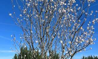 Maison  2600 m² à vendre à Collias (30210)