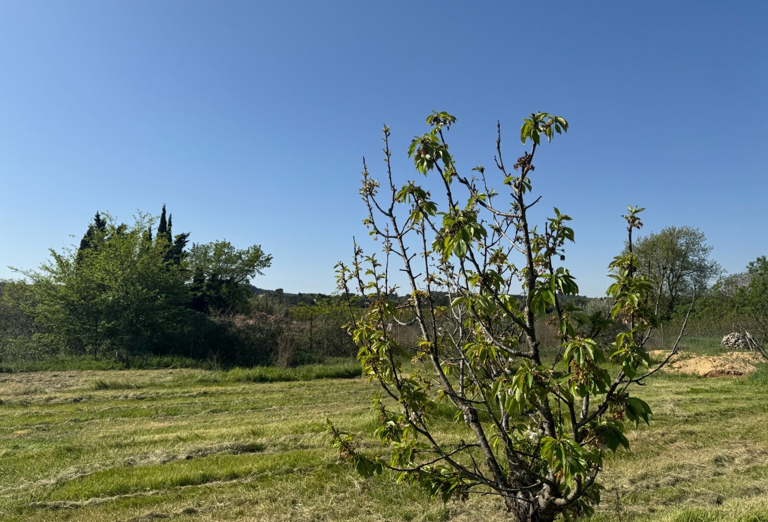 Terrain de loisirs de 2600m² à vendre à COLLIAS (30) - Environnement naturel privilégié — photo 1