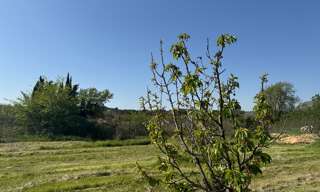 Maison  2600 m² à vendre à Collias (30210)