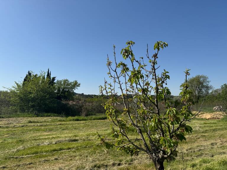 Terrain de loisirs de 2600m² à vendre à COLLIAS (30) - Environnement naturel privilégié — photo 1