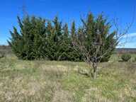 Terrain de loisirs de 2600m² à vendre à COLLIAS (30) - Environnement naturel privilégié — photo 3
