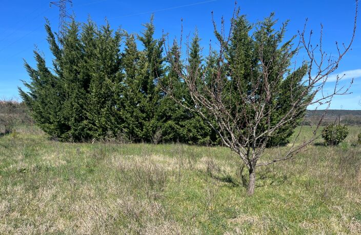 Terrain de loisirs de 2600m² à vendre à COLLIAS (30) - Environnement naturel privilégié — photo 3