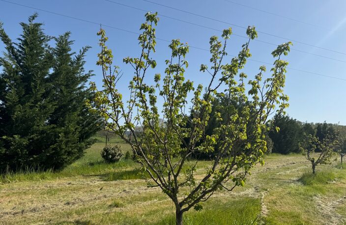 Terrain de loisirs de 2600m² à vendre à COLLIAS (30) - Environnement naturel privilégié — photo 4
