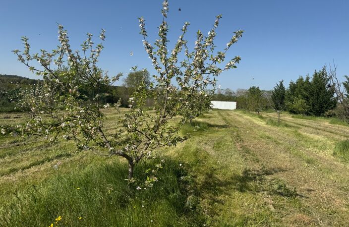 Terrain de loisirs de 2600m² à vendre à COLLIAS (30) - Environnement naturel privilégié — photo 5