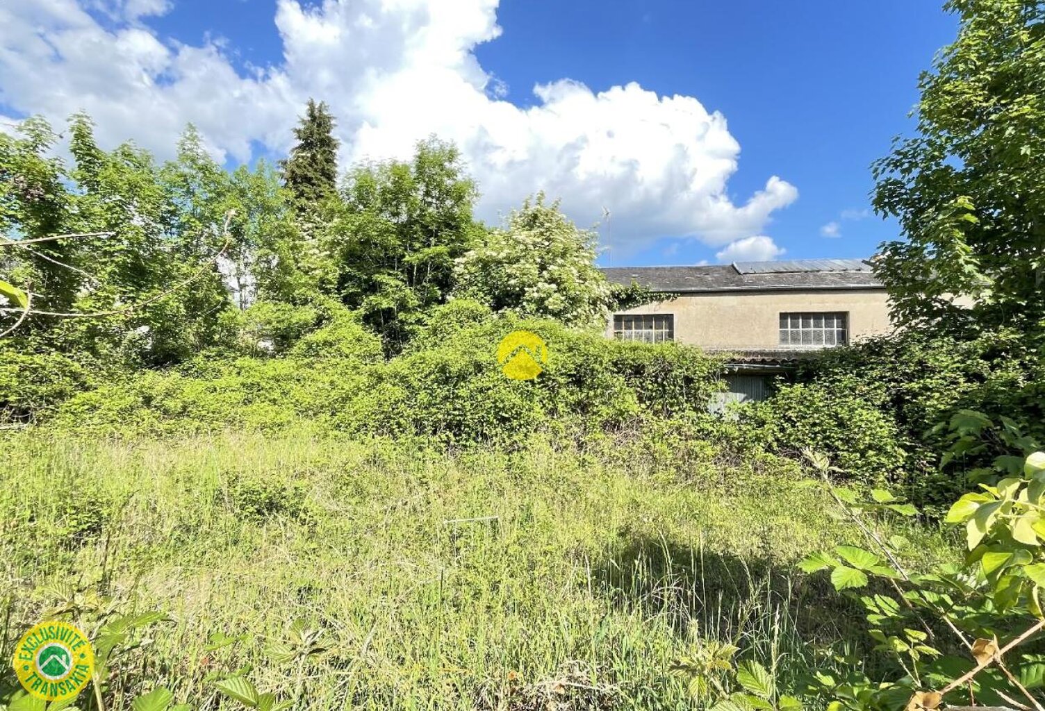 LOCAL COMMERCIAL — photo 1