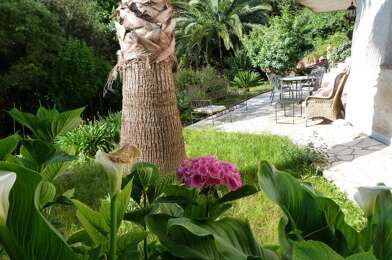 Appartement 3 pièces 1050 €