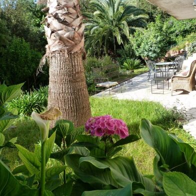 Appartement 3 pièces 1050 €