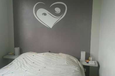 Appartement 3 pièces 800 €