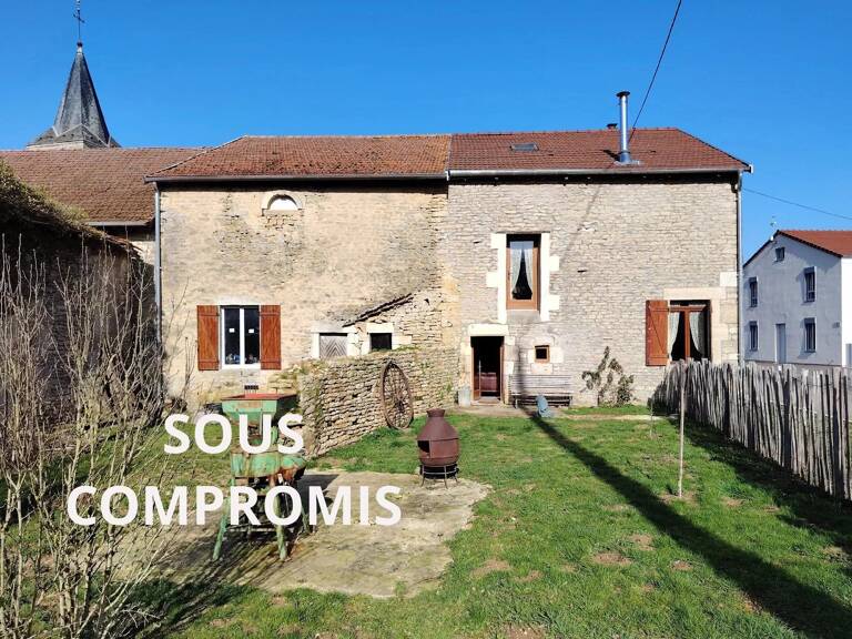 Haute-Marne à vendre : 2 maisons avec jardin ensoleillé — photo 1