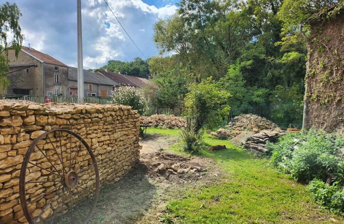 Haute-Marne à vendre : 2 maisons avec jardin ensoleillé — photo 4