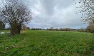 Local industriel  6410 m² à vendre à Torigny-les-Villes (50160)