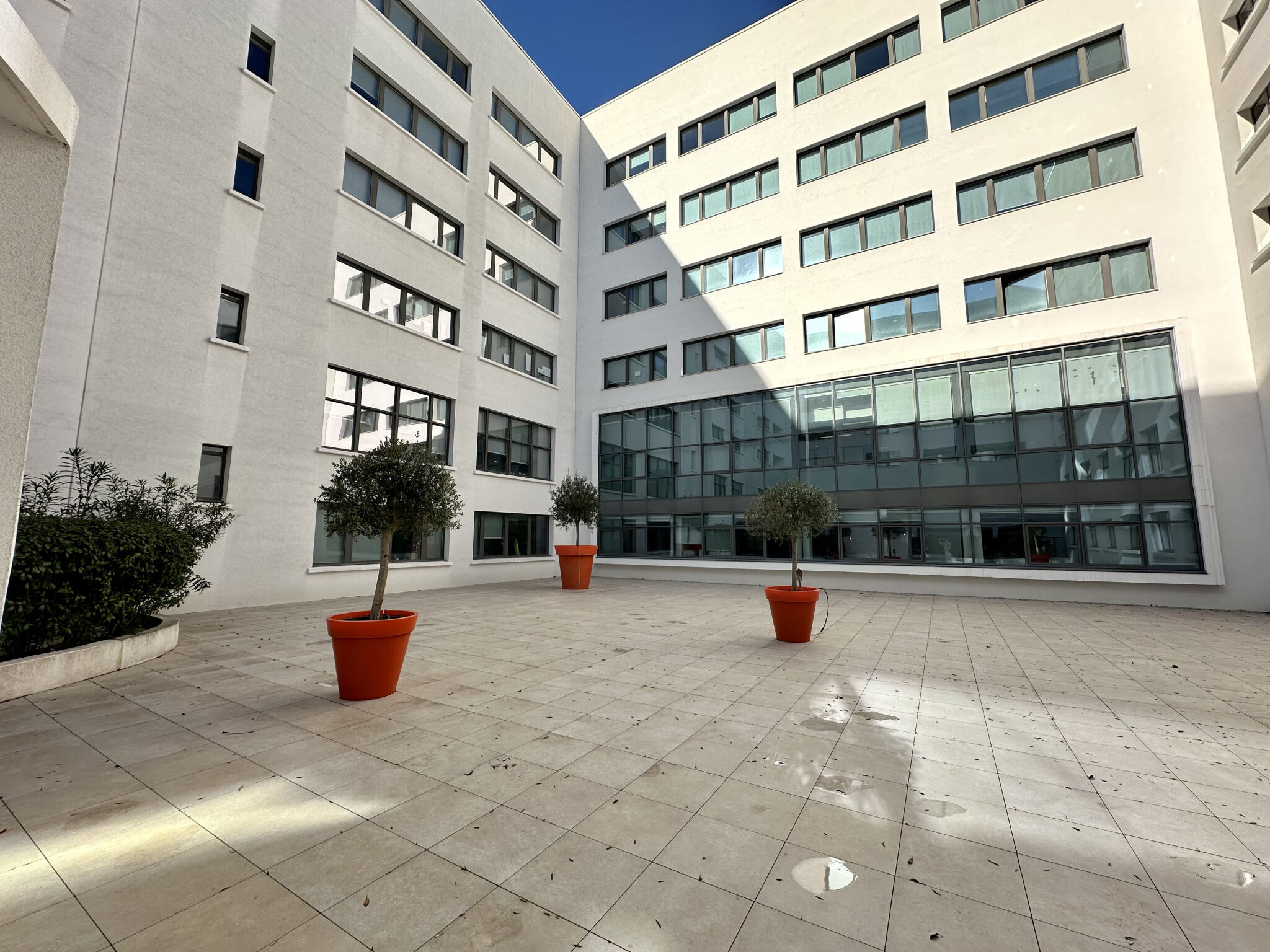 Appartement  T2 à louer Marseille 2eme 13002