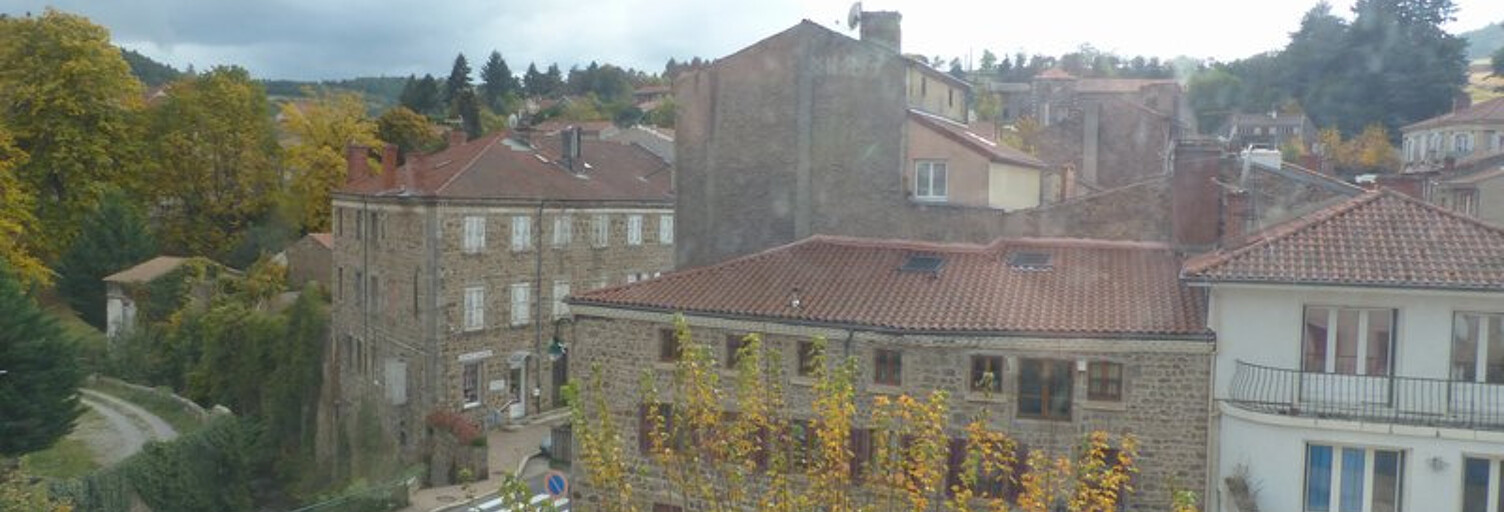 Appartement 4 Pièces 77 m² à louer à Saint-Julien-Molin-Molette (42220)