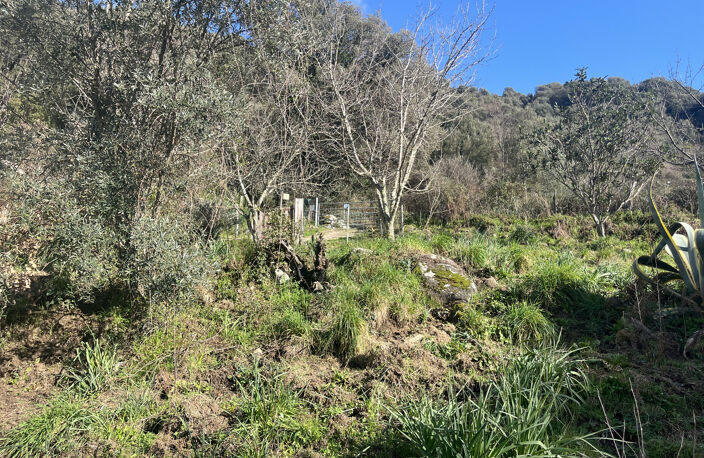 Maison F3 de plain-pied - Terrain de 1800m2  constructible - — photo 5