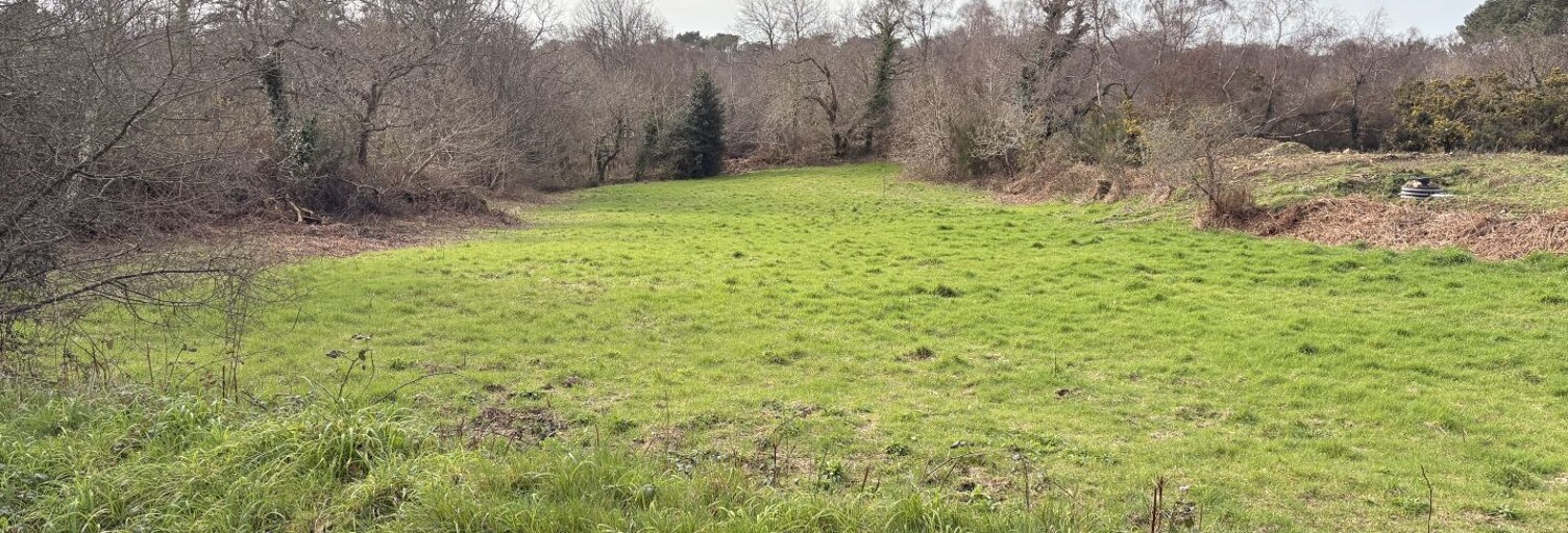 Terrain  2878 m² à vendre à Perros-Guirec (22700)