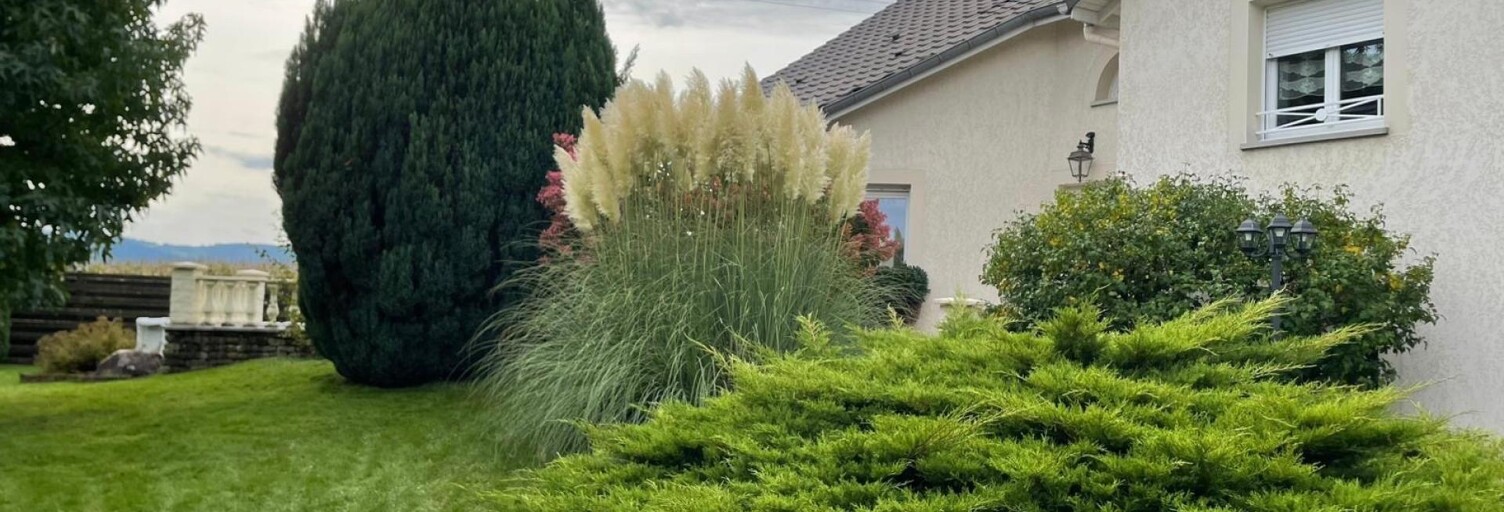 Maison 6 Pièces 163 m² à vendre à Saint-Amé (88120)