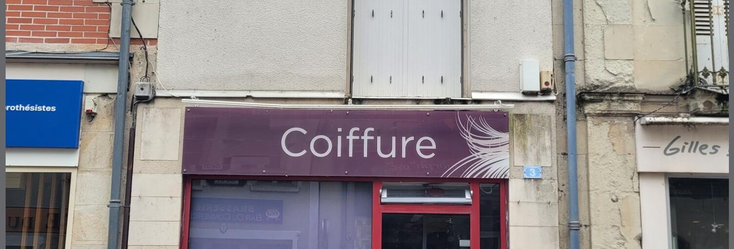 Commerce 3 Pièces 67 m² à vendre à Descartes (37160)