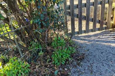 Maison 4 pièces 346500 €