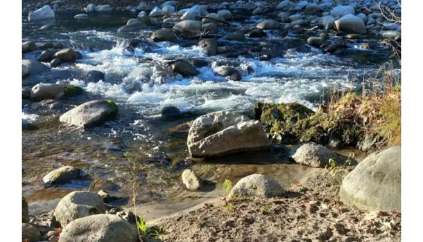 Propri&eacute;t&eacute; 3 pièces  à vendre Reynès 66400