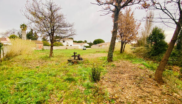 Terrain  à vendre Thuir 66300