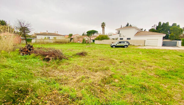 Terrain  à vendre Thuir 66300