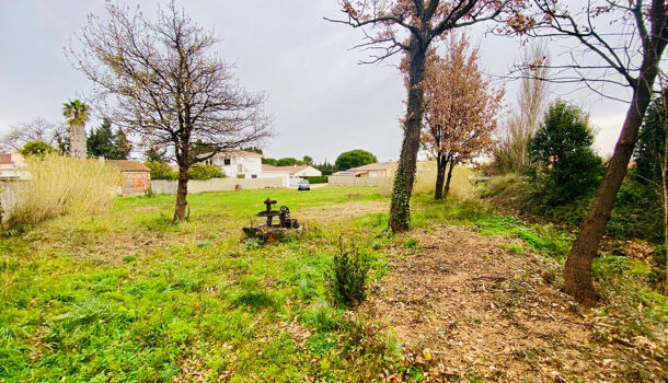 Terrain  à vendre Thuir 66300