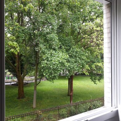 Appartement 2 pièces 883 €