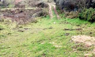 Terrain  6381 m² à vendre à Peypin (13124)