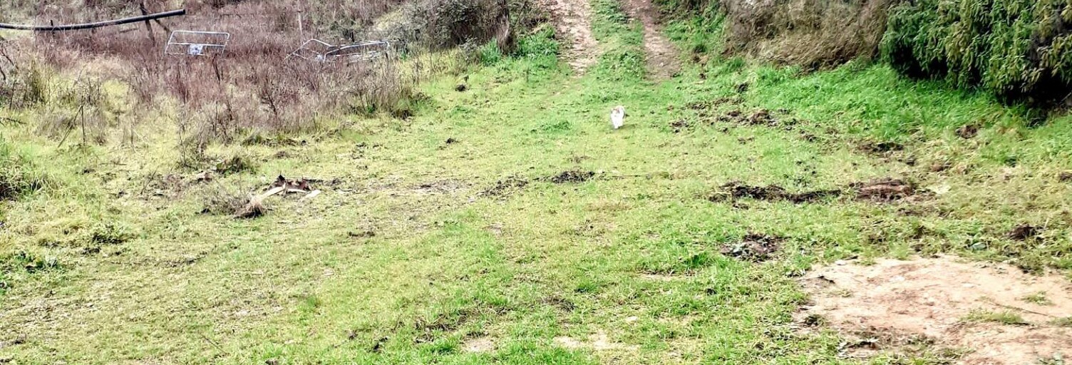 Terrain  6381 m² à vendre à Peypin (13124)