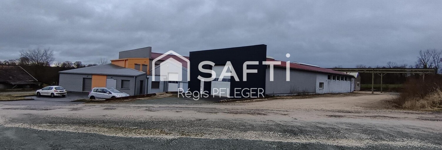 Commerce 10 Pièces 1900 m² à vendre à Grandvillars (90600)