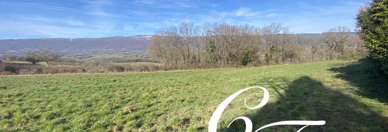 Terrain  4000 m² à vendre à Saint-Germain-sur-Rhône (74910)
