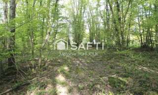 Terrain  2312 m² à vendre à Melleroy (45220)