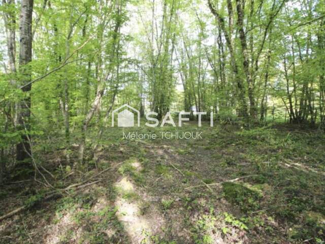 Terrain constructible de 2312m² — photo du bien