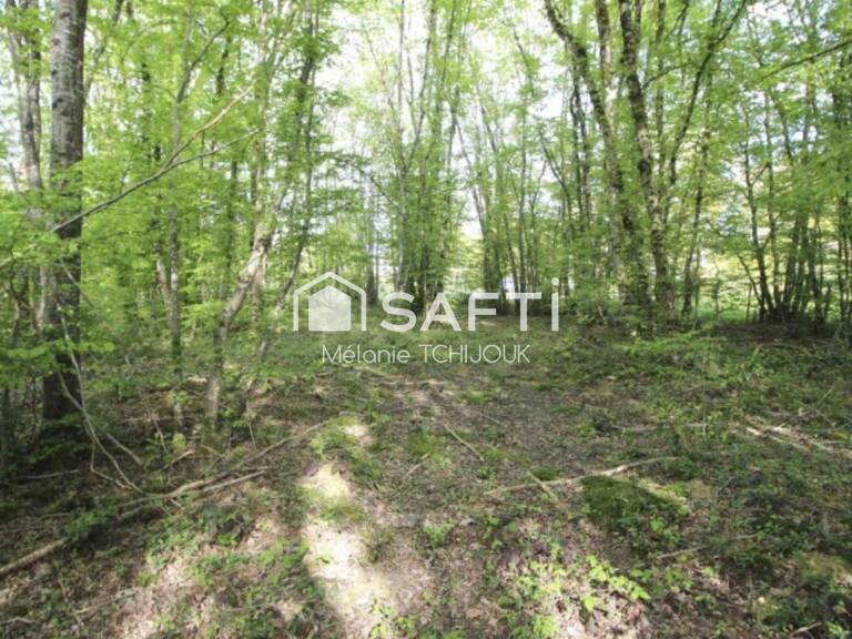 Terrain constructible de 2312m² — photo 1