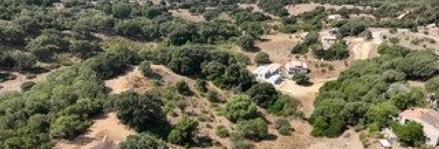 Terrain  3400 m² à vendre à Sollacaro (20140)