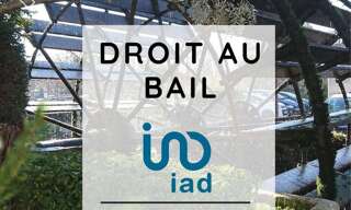 Commerce  137 m² à vendre à L'Isle-sur-la-Sorgue (84800)