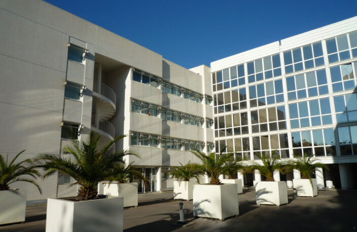 VENTE APPARTEMENT 1 PIECE MONTPELLIER ARCEAUX — photo 4