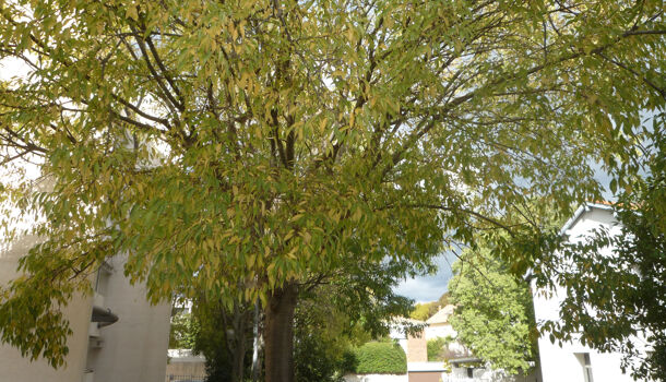 Appartement 1 pièces  à vendre Montpellier 34000