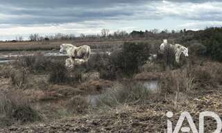 Appartement 1 Pièce 25 m² à vendre à Saintes-Maries-de-la-Mer (13460)