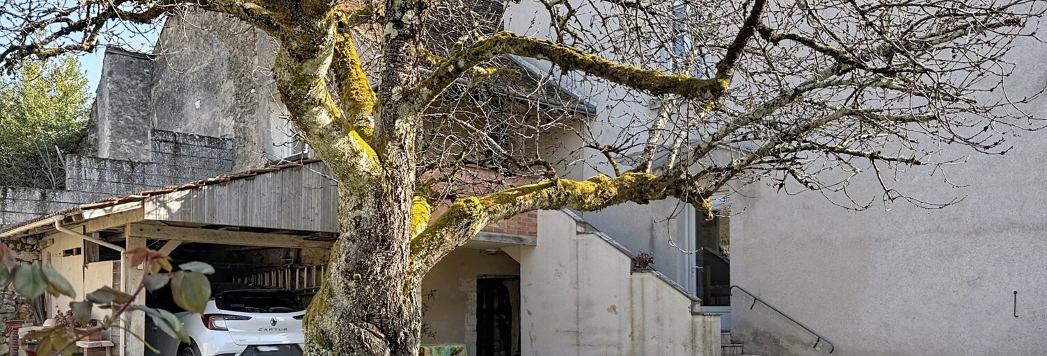 Maison 7 Pièces 123 m² à vendre à Argenton-sur-Creuse (36200)