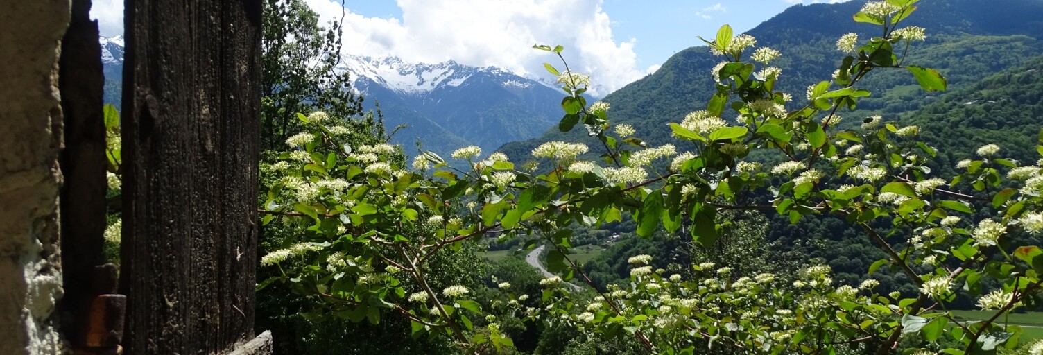 Maison 2 Pièces 47 m² à vendre à Bonvillaret (73220)