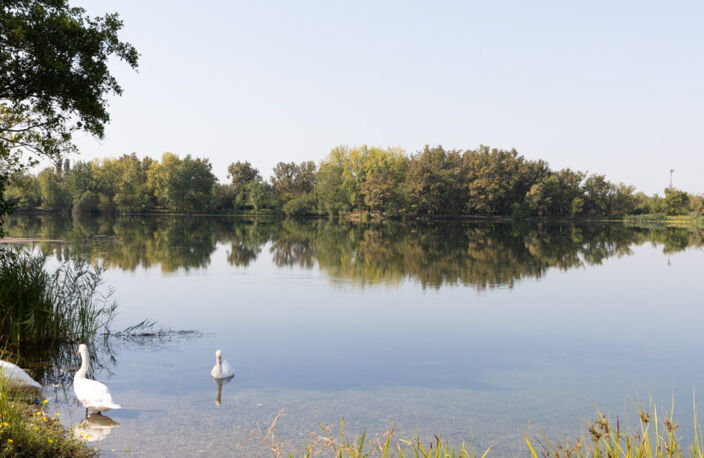 Vente programme neuf T2, T3, T4 41 à 82 m² Ambarès-et-Lagrave (33440) — photo 3