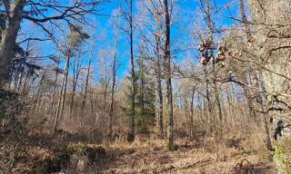 Terrain  7800 m² à vendre à Gouzon (23230)