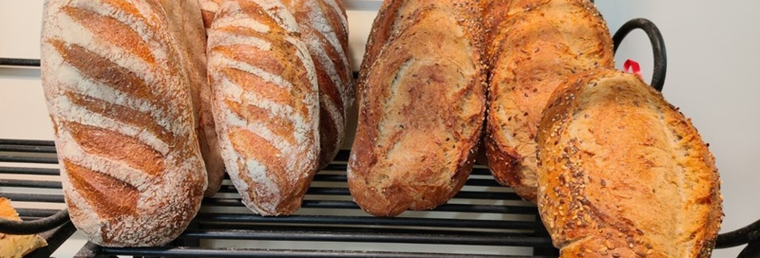 Commerce 4 Pièces 301 m² à vendre à Rochefort (17300)