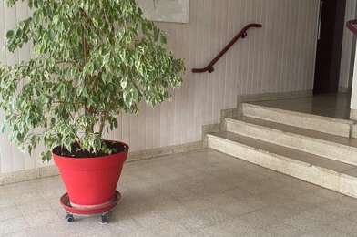 Appartement 4 pièces 115000 €