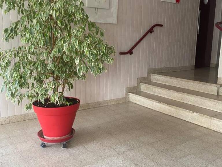 BEL APPARTEMENT LUMINEUX 110 M2 CENTRE-VILLE CHAUMONT — photo 1
